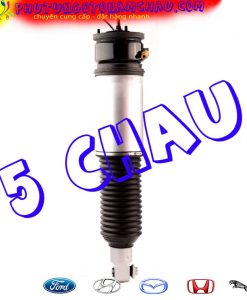 37126785536-giam-soc-sau-phai-E65-E66