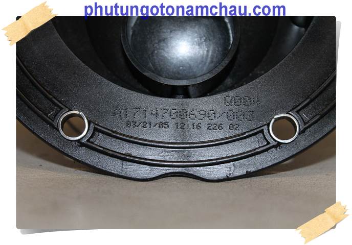 Lọc Xăng MERCEDES S550 SLK R171 - A1714700690 1714700690 (6)