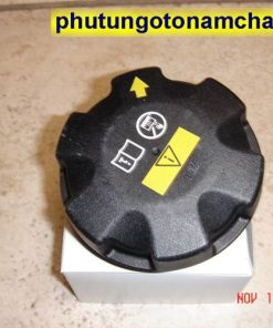 Nắp Bình Nước Phụ X5 X6 - 17117639021 17 11 7 639 021 (1)