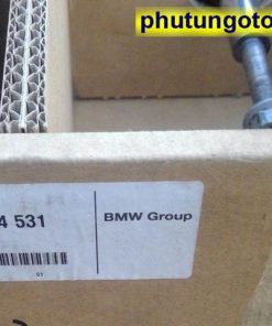 Giảm Sóc điện Trước Bmw X5 - 37116794532 37116794531 (15)