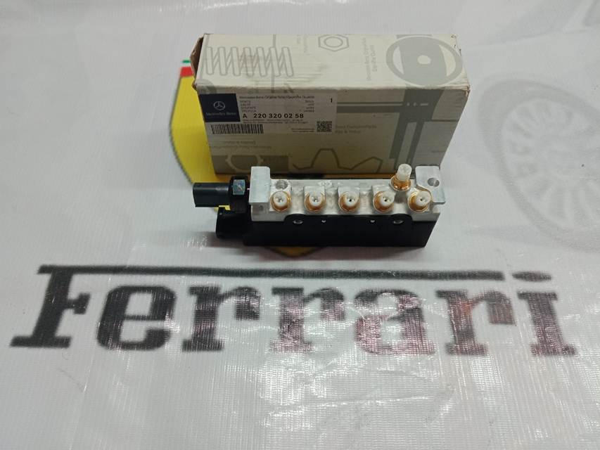 Van Chia Hơi Giảm Sóc Mercedes-Benz W220 A2203200258 (1)