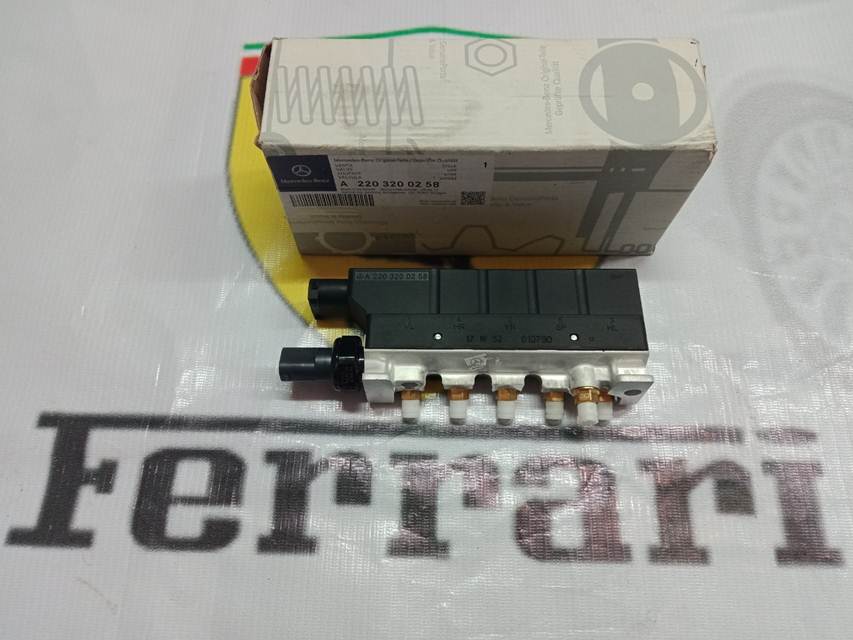 Van Chia Hơi Giảm Sóc Mercedes-Benz W220 A2203200258 (2)