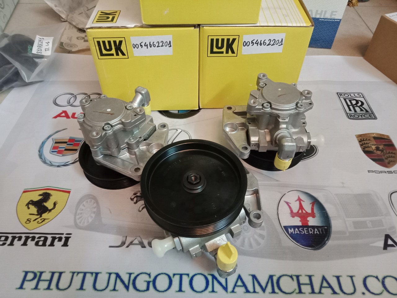 Bơm Trợ Lực Mercedes 0054662201 (1)