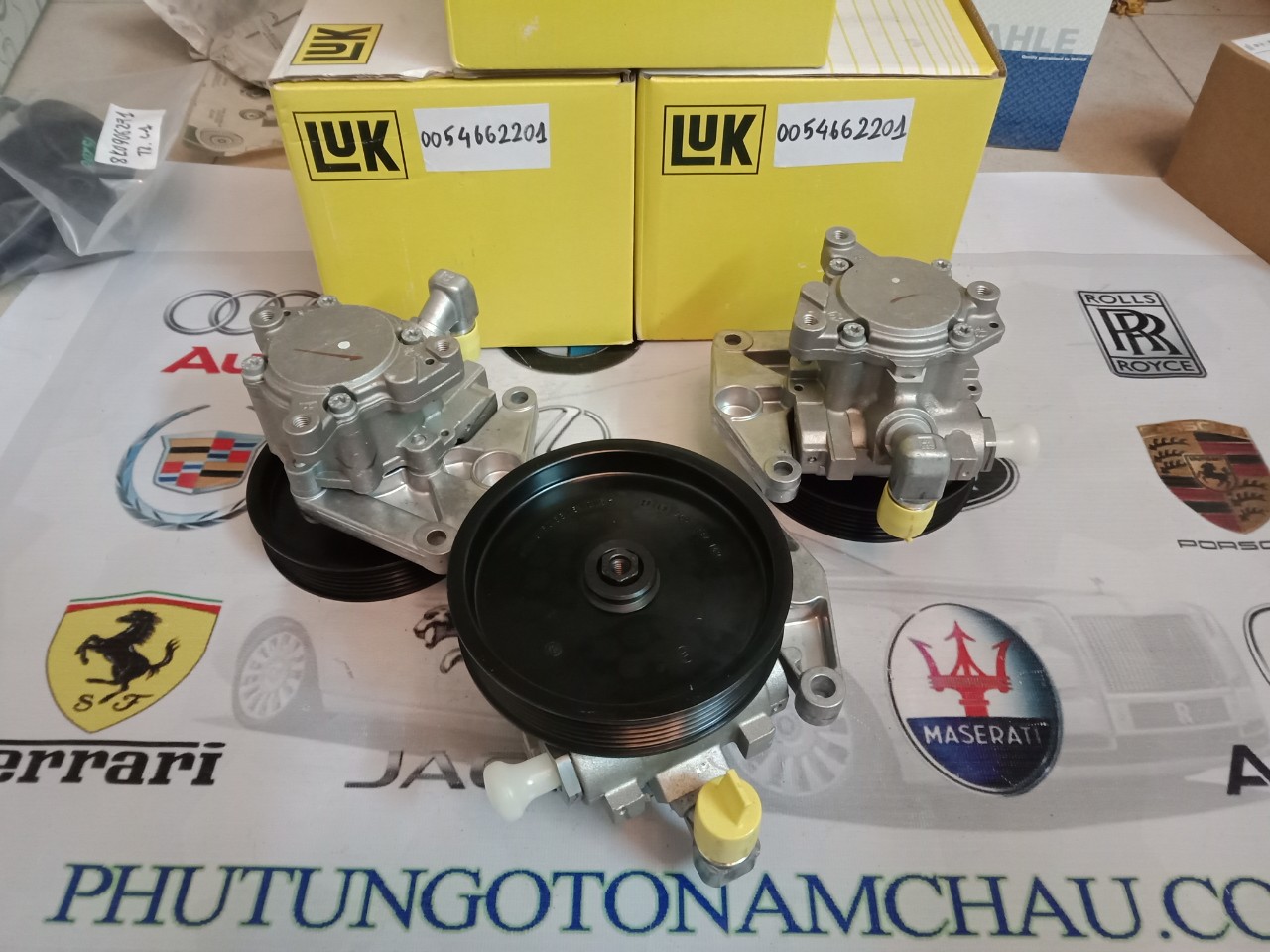 Bơm Trợ Lực Mercedes 0054662201 (2)