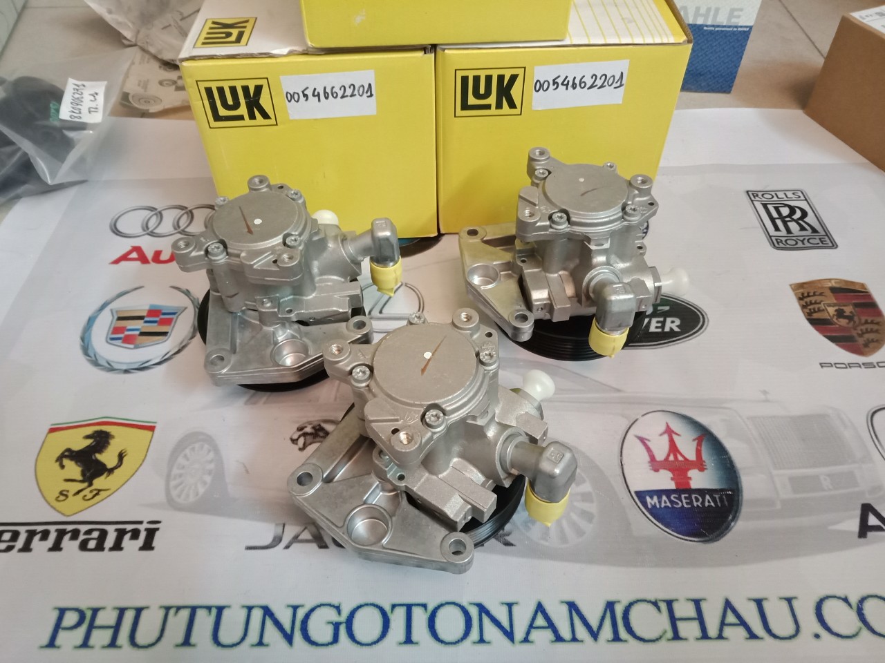 Bơm Trợ Lực Mercedes 0054662201 (4)