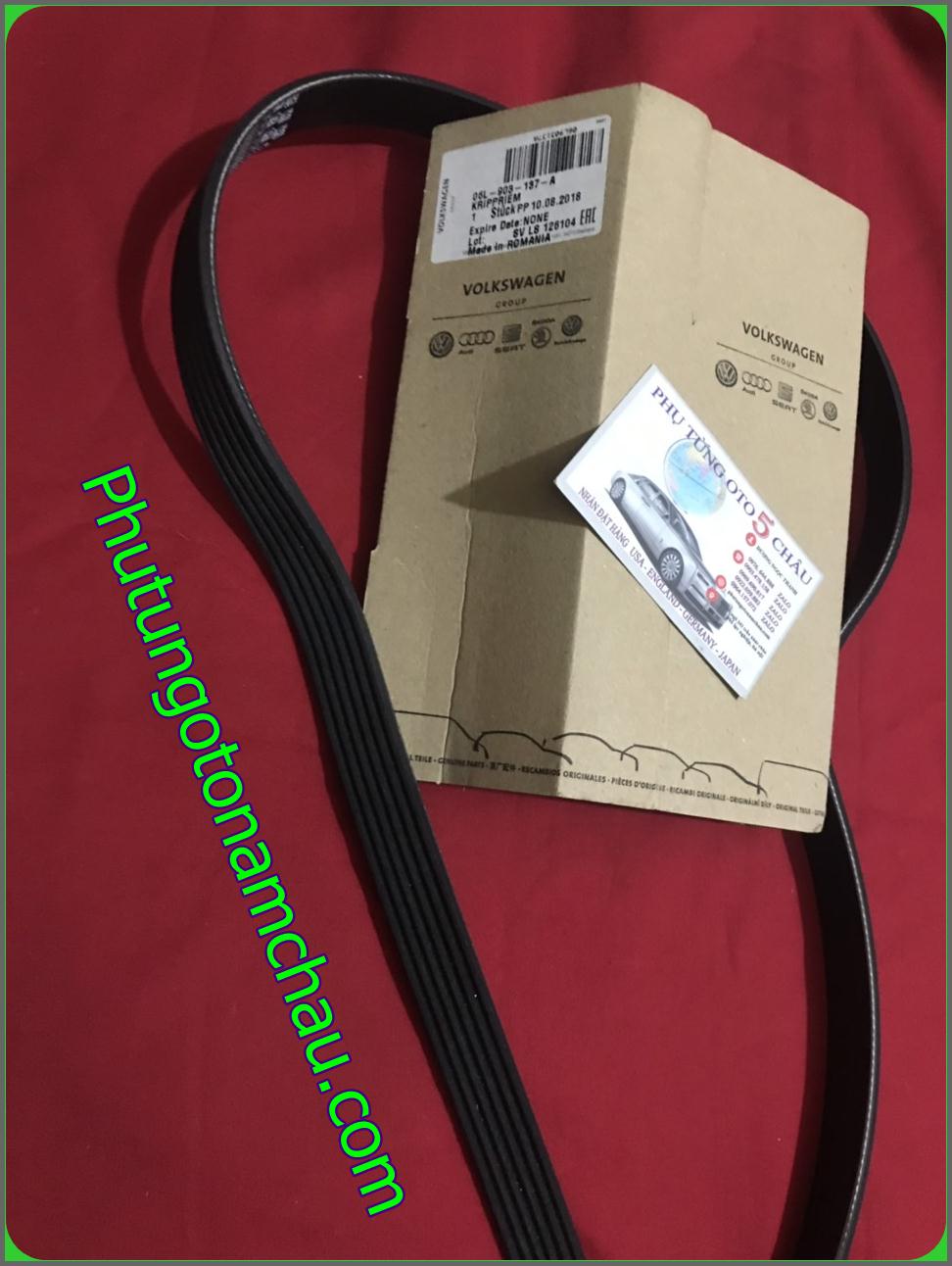 Dây Curoa Tổng Xe Audi A4 A3 VW Tiguan Chính Hãng - 06L903137A