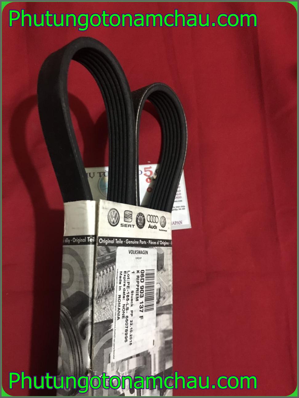 Dây Curroa Tổng Audi A6 VW 06D903137F