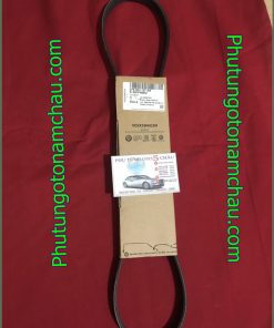Dây Curroa Tổng Audi A8 VW 079903137AA