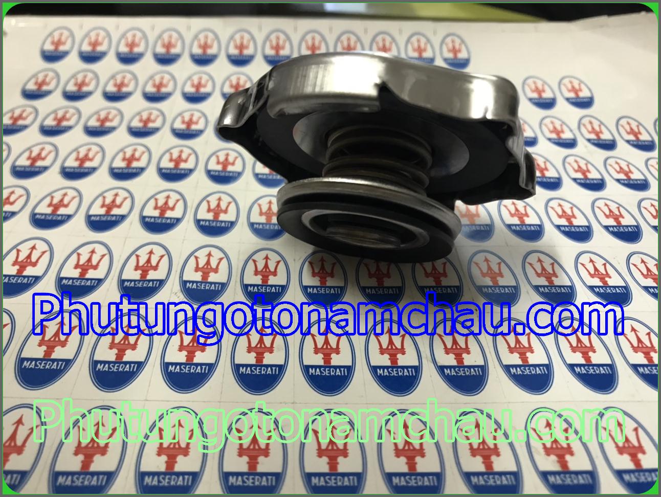 Nắp Bình Nước Phụ Chrysler JeepDodge 55116901AA