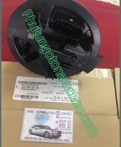 Bơm Xăng Mercedes S550 S63 A2224700094