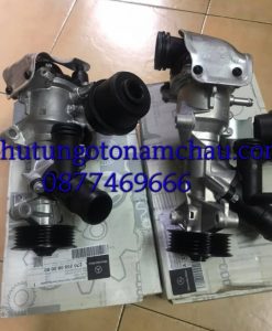 117240039_148066833598874_8546656461865007910_n_result