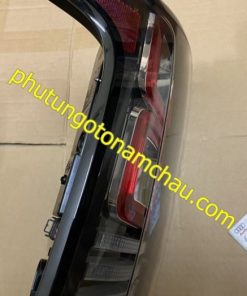 LR061584 (2)