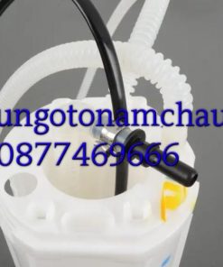 Z1965205436370_c34a94f3790a06ca1eba93dd42e8c03e_result