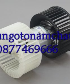 Z2261444832411_25be8ed109f8b41053e6bf3561742f52_result