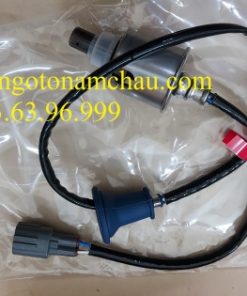 Z2261599454597_501c84f88ffcdfcfbc8a208fd6d79a4e
