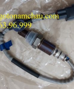 Z2261599703234_1cfb4c9032cfb3a2fbd45a42cfa03b06