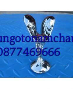 Z2265099294706_a17a1aeb1792388a157f284dfb8f1a2e_result