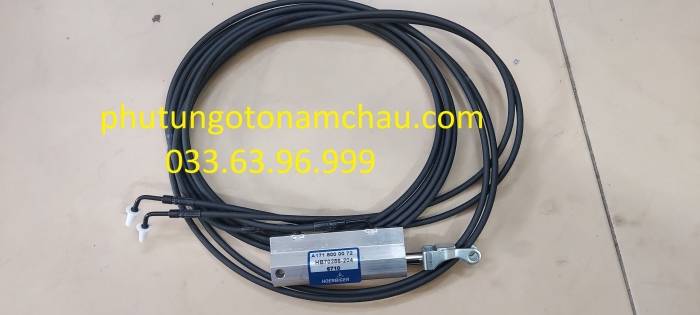 Z2263039714095_bb26b448b0eb00a7e15791a82225810a