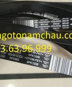 251220 6PK1556 Dây Curoa Tổng Maserati