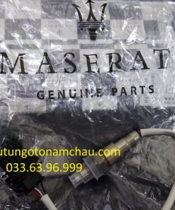 670031348 Cảm Biến Oxy (4)