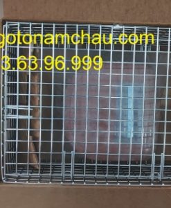 LR062638 Túi Khí Chinh Túi Khí Vô Lăng Land Rover (6)