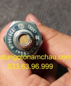 038919081H Cảm Biến áp Suất Dầu Audi VW (1)