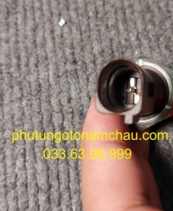 038919081H Cảm Biến áp Suất Dầu Audi VW (3)