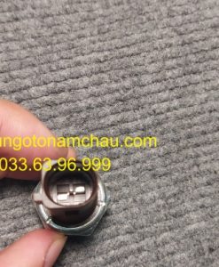 038919081H Cảm Biến áp Suất Dầu Audi VW (8)