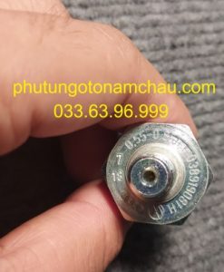 038919081H Cảm Biến áp Suất Dầu Audi VW (9)