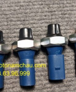 06H919081A Cảm Biến áp Suất Dầu Máy Audi (2)