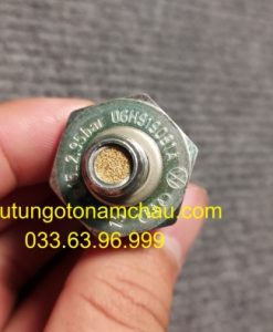 06H919081A Cảm Biến áp Suất Dầu Máy Audi (4)