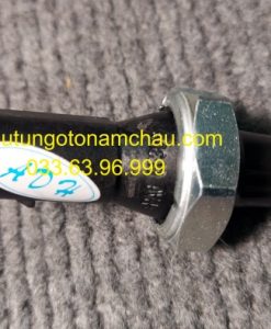 079919081 Cảm Biến áp Suất Dầu Máy Audi (1)