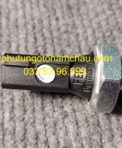 079919081 Cảm Biến áp Suất Dầu Máy Audi (2)