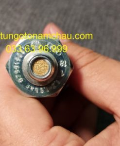 079919081 Cảm Biến áp Suất Dầu Máy Audi (3)