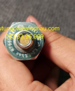 079919081 Cảm Biến áp Suất Dầu Máy Audi (4)