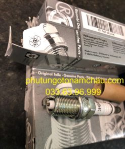 101000063AA Bugi đánh Lửa Audi Volkswagen New Beetle Passat Jetta Golf 1 (2)