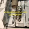 12120037607 Bugi đánh Lủa BMW 318i 323i (4)