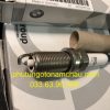 12122158253 Bugi đánh Lửa BMW N52 (1)