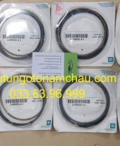 19208677 Xéc Măng Chevrolet Performance GM Cadillac (1)