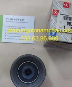 0830 42 Bi Tỳ Cam Peugoet 407 (1)