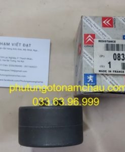 0830 42 Bi Tỳ Cam Peugoet 407 (2)