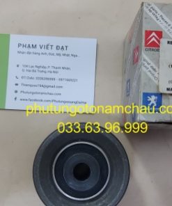 0830 42 Bi Tỳ Cam Peugoet 407 (3)