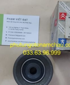 0830 42 Bi Tỳ Cam Peugoet 407 (3)