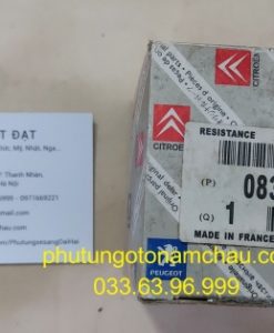 0830 42 Bi Tỳ Cam Peugoet 407 (4)