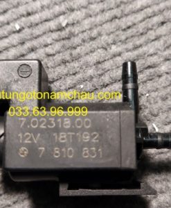 11747810831 Van điện Từ BMW E36 E46 (1)