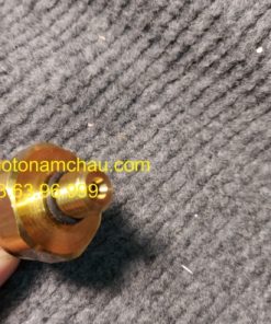 13537614317 Cảm Biến áp Suất Xăng BMW (1)