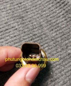 13627535068 Cảm Biến Nhiệt độ Nước BMW (1)