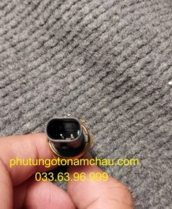 13627580635 Cảm Biến Nhiệt độ Nước BMW (3)