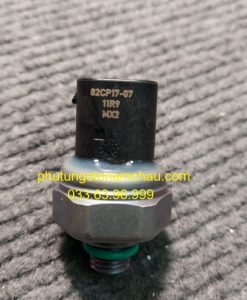 64539323658 Cảm Biến áp Suất Ga BMW X5 E70 (2)