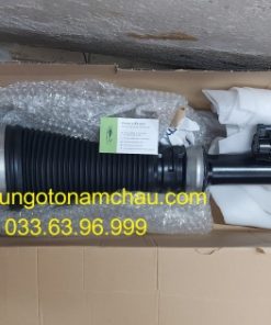 A2173201813 Giảm Sóc Sau S-Class (4)